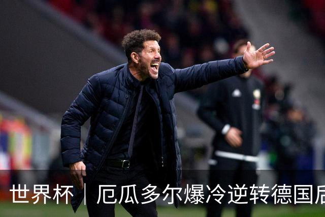 世界杯｜厄瓜多尔爆冷逆转德国后晋级32强